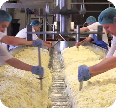 Tradition and Innovation